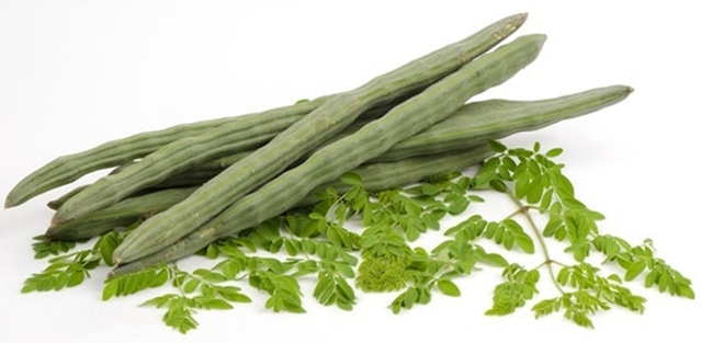 moringa-oleifera.jpg